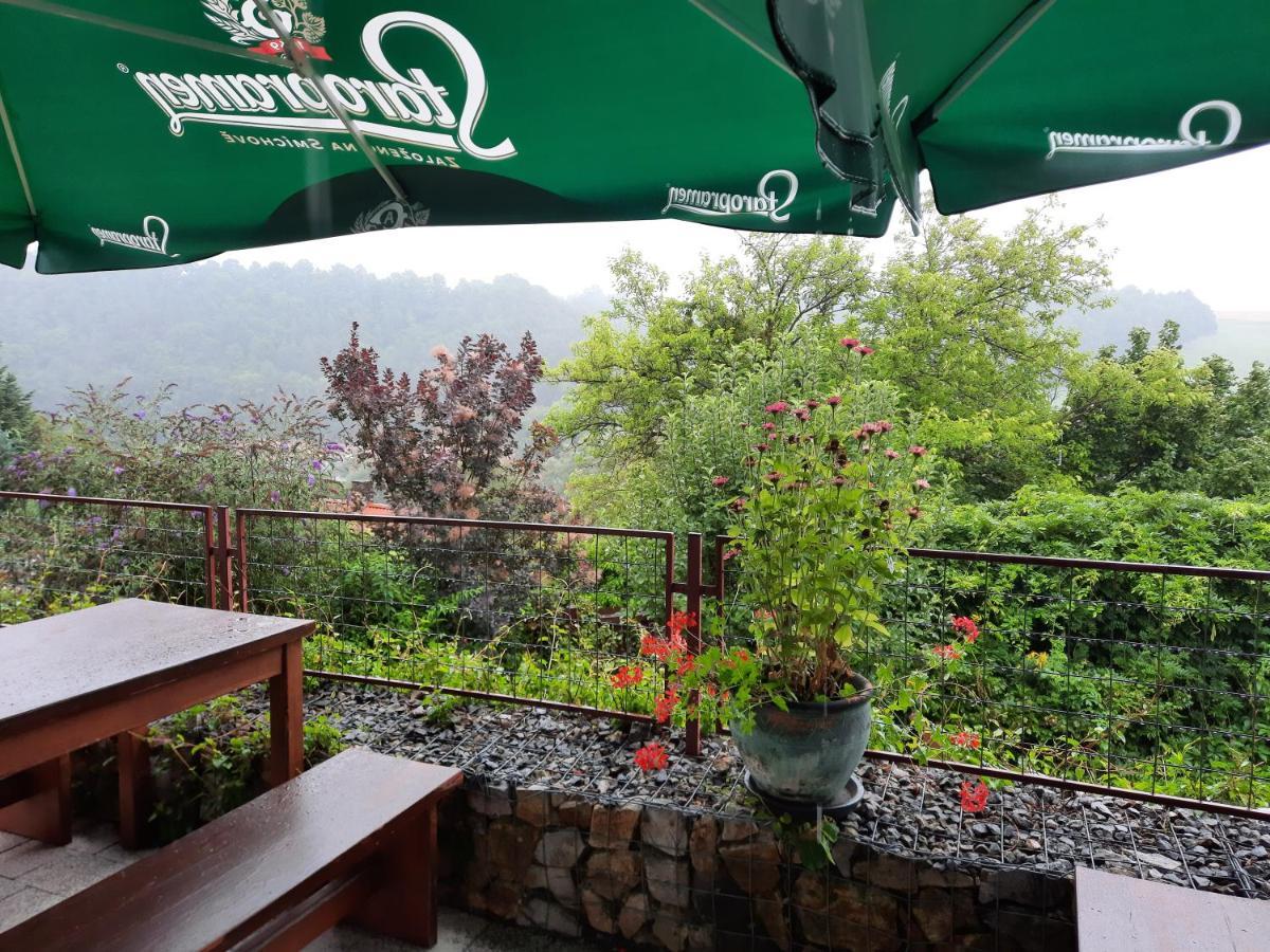 Penzion Zahrada Nad Rekou, Restaurace A Kavarna - Parkovani Gratis Zlatá Koruna Екстериор снимка
